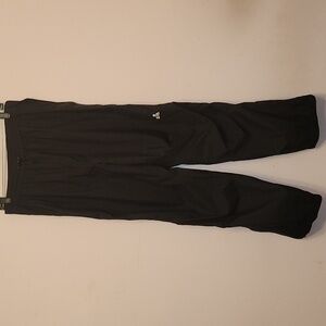 EMS Gore-Tex Women’s Hiking Pants, size L